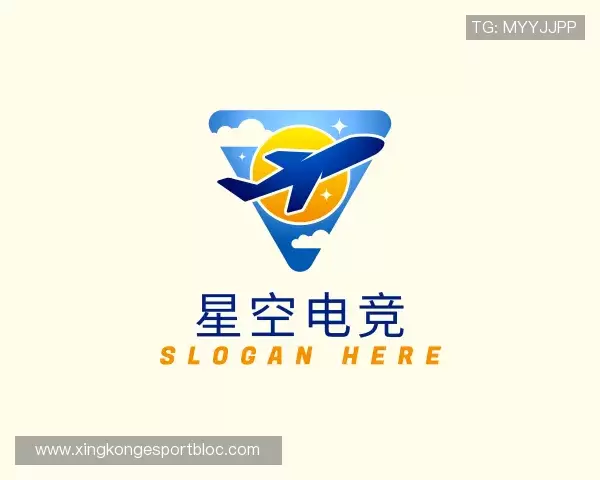 了解星空电竞官网